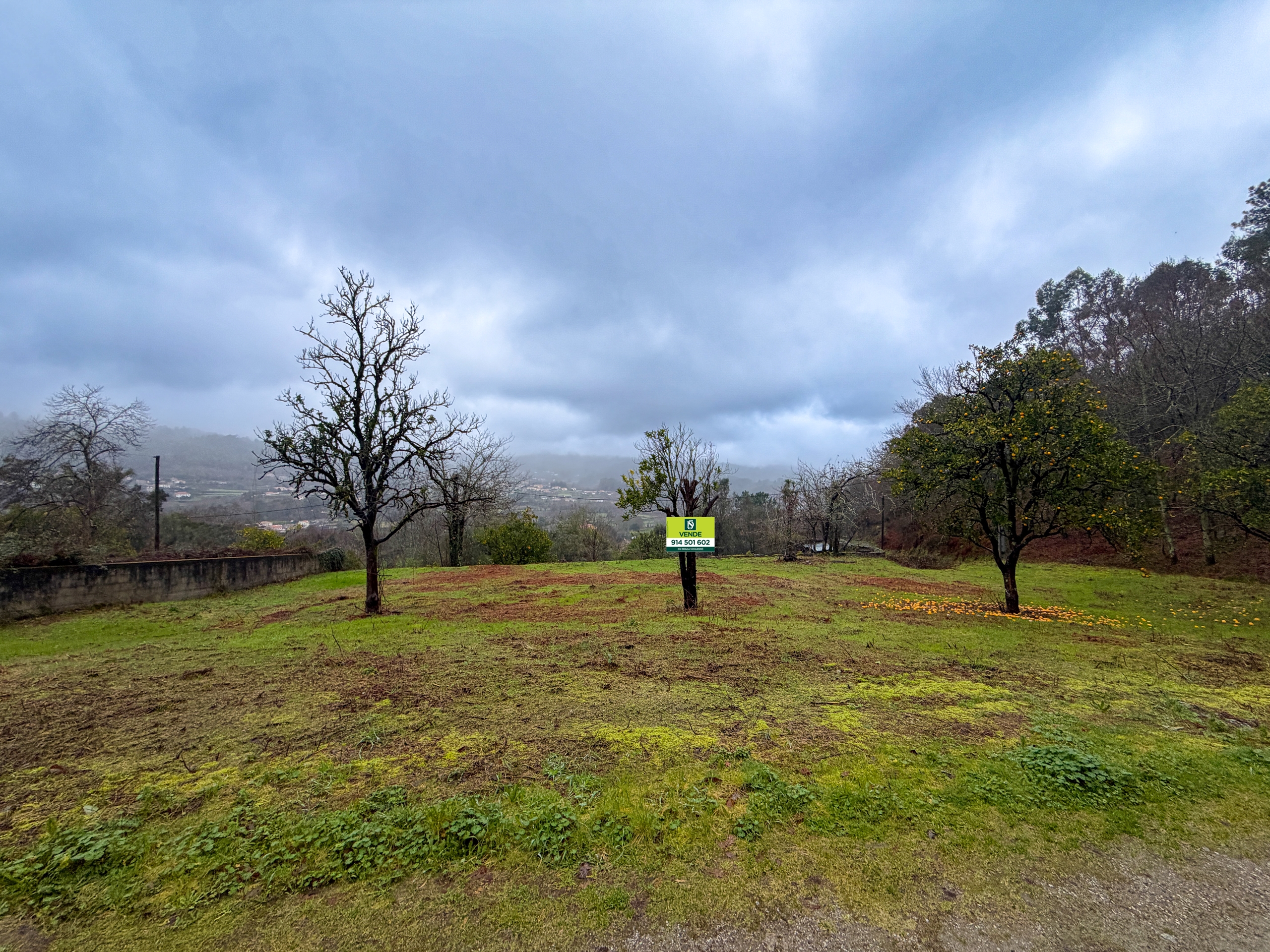 Terreno